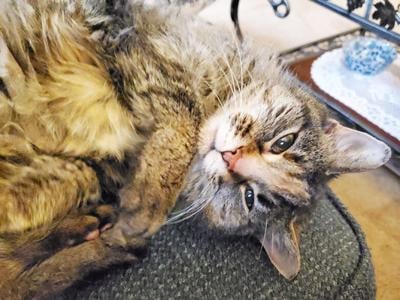 Suzanne Tinsley of Festus sent in this photo of Kasey, 18, in one of her favorite spots.