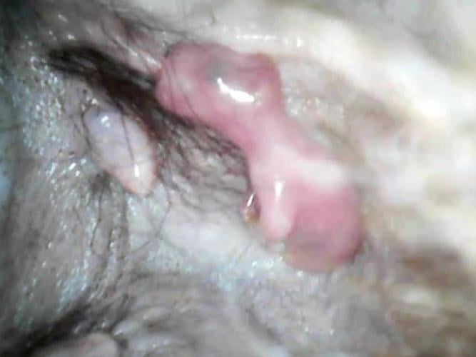 Tiny ‘pouch-cam’ gives rare glimpse of zoo’s newly born kangaroo joey