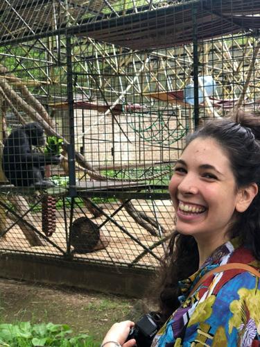 Chimps have accents too, reveals new research