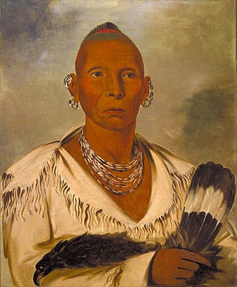 Catlin painting