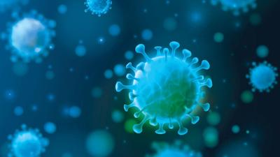 covid coronavirus virus