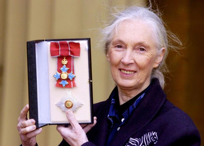 Jane Goodhall posthumously named Peta’s person of the year