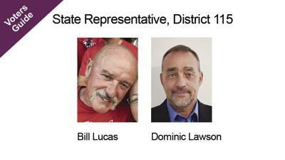 State Representative, District 115
