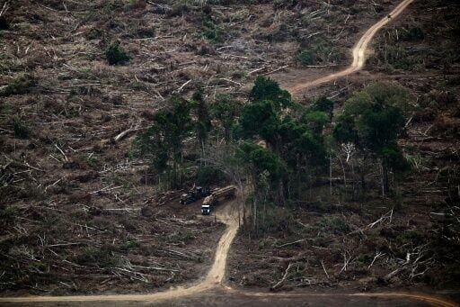A deforested area in the Amazon rainforest, in the municipality of Tome-Acu, Brazil