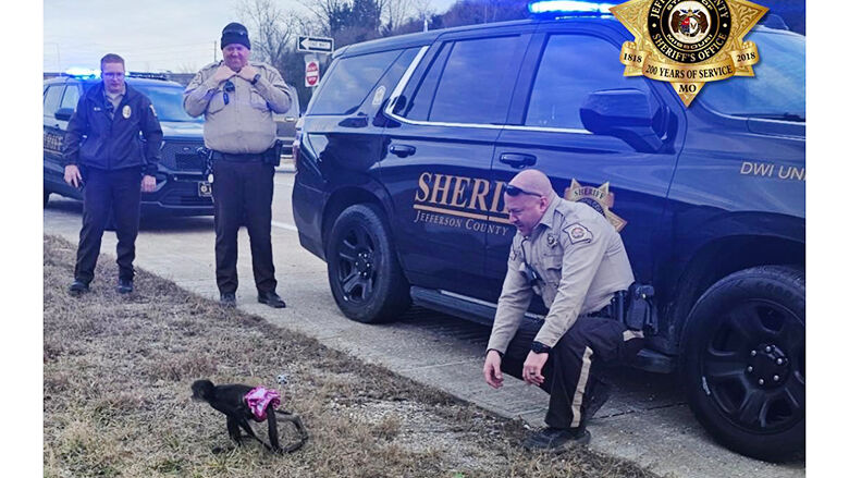 Jefferson County Sheriff’s Office deputies on Jan. 3 responded to the area of highways 21 and M in Otto because a spider monkey had escaped from a home.