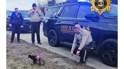 Jefferson County Sheriff’s Office deputies on Jan. 3 responded to the area of highways 21 and M in Otto because a spider monkey had escaped from a home.