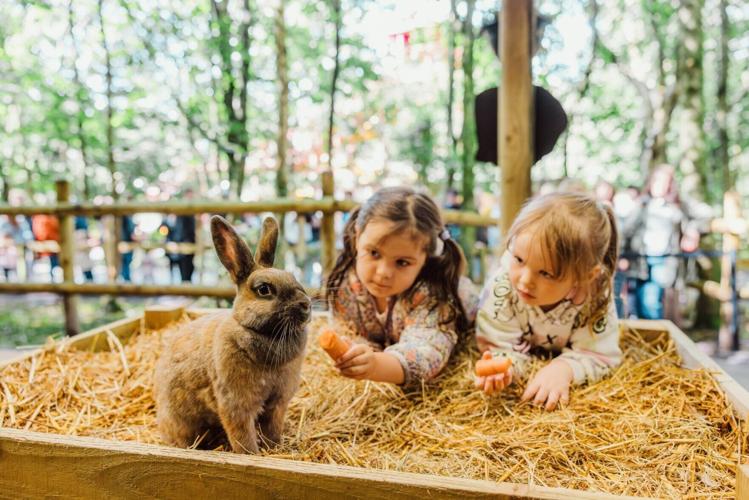 SWNS_THEMEPARK_SALE_11_142690