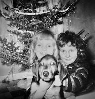 Family Holiday Album 2025