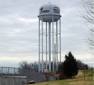 Man threatening suicide talked off Festus water tower by police 