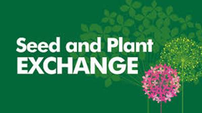 seed and plant exchange2.jpg