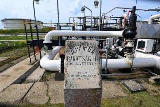 Ukraine says Russian strikes late in January damaged the Druzhba pipeline that crosses its territory