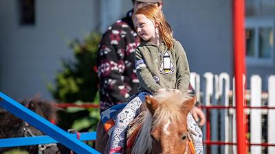 Hillsboro horse show 2021