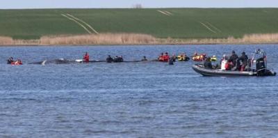 Two wealthy entrepreneurs financed the rescue operation