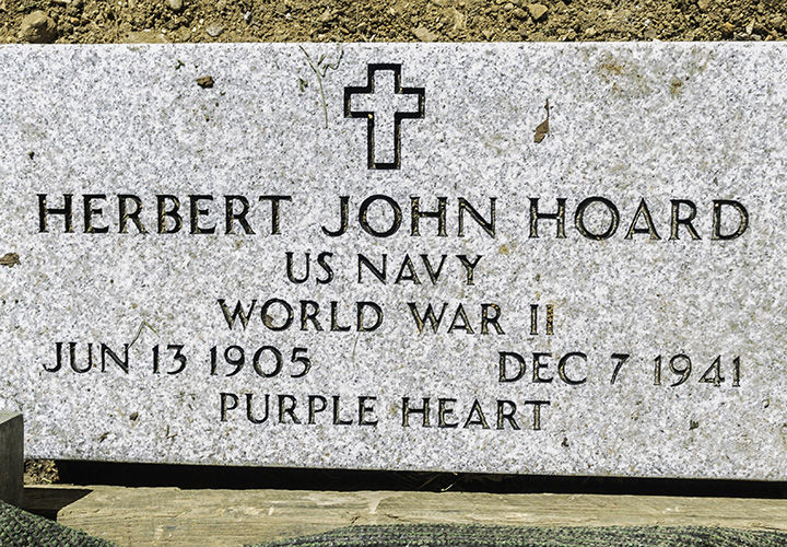 Ted Howell D4 -286.jpg