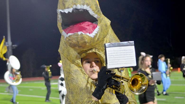 festus bands (16).JPG