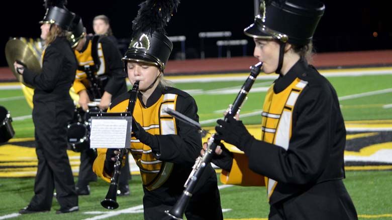 festus bands (2).JPG