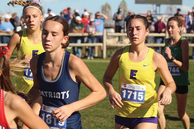 Madison Schepis, Haley Meek