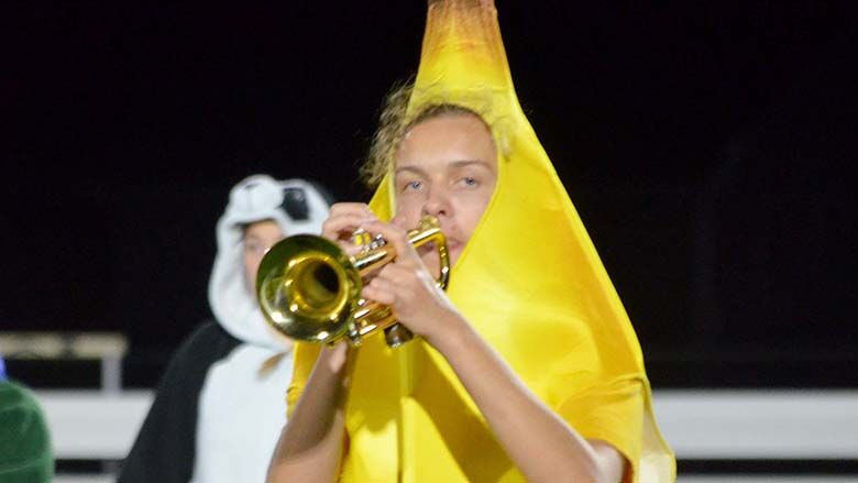festus bands (19).JPG