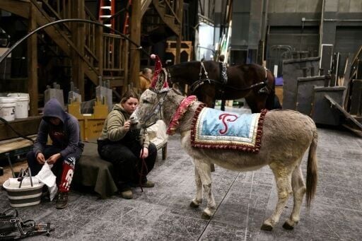 Handler Angelina Borello pets Wanda as they wait backstage ahead of the donkey's star turn in the Metropolitan Opera's "La Boheme"