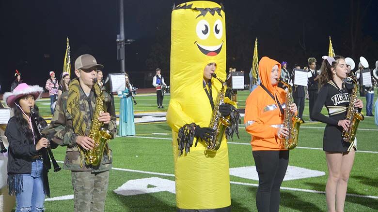 festus bands (22).JPG