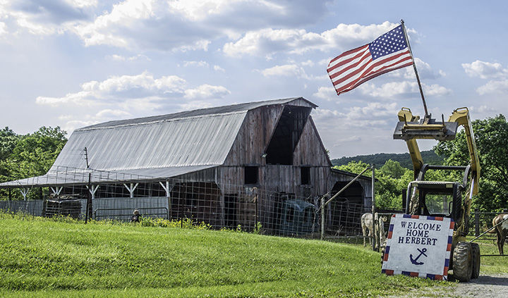 Ted Howell D4 -301.jpg