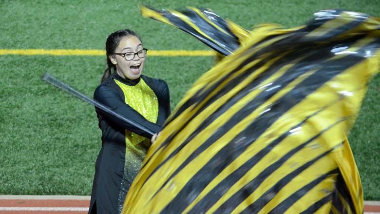 festus bands (9).JPG