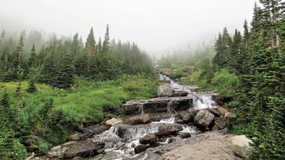 Way to go 2018 winner