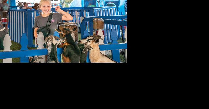 Jefferson County Fair starts July 20 | Local News - Vimarsana News