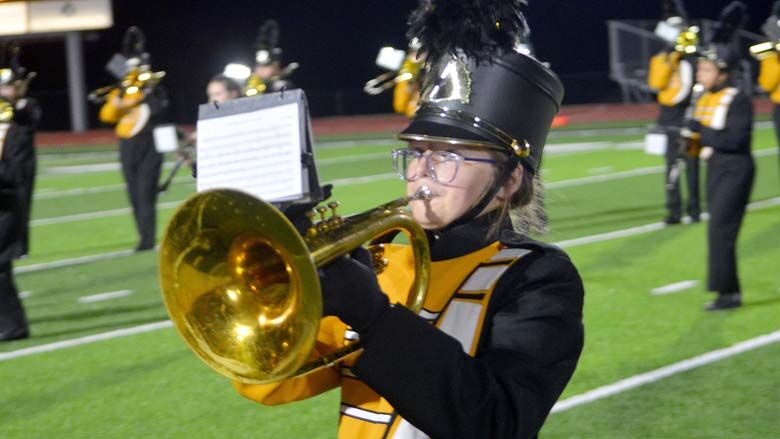festus bands (12).JPG