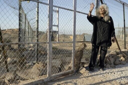 For every cheetah cub that reaches its destination, four or five die en route, said Laurie Marker, founder of CCF