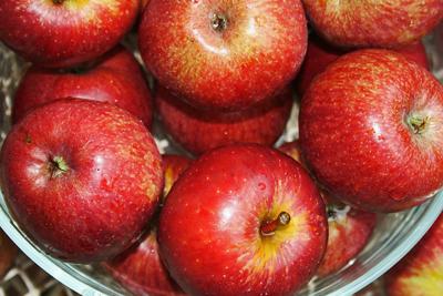 bowl of apples