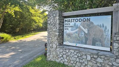 A guided hike on Mastodon State Historic Site’s Wildflower Trail is scheduled to start at 10 a.m. Saturday, Sept. 5.