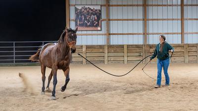 Rachel McConville of Festus practices with Dakota, a 22-year-old horse.