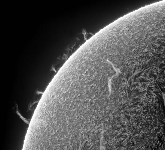 Spider silk thread close-up wins Royal Society Publishing Photography Competition