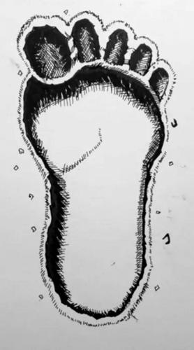 Bigfoot hunters using state of the art technology in bid to finally solve mystery