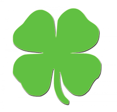 How do you like to celebrate St. Patrick's Day?