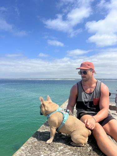 Carpenter quits job after his dog earns more than him