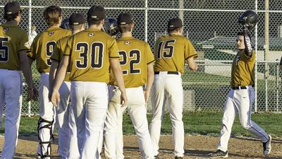 festus baseball web.jpg