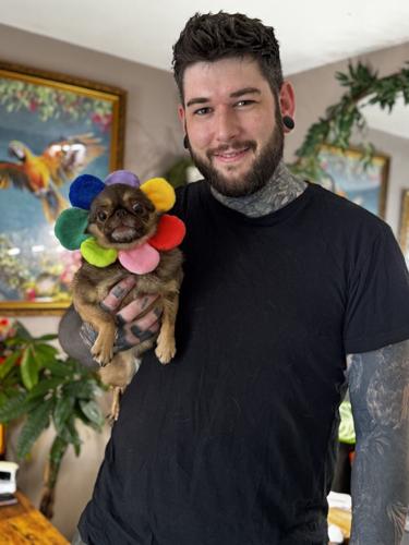 Fans of TikTok famous dog crowdfund £120,000 for his hospital bills