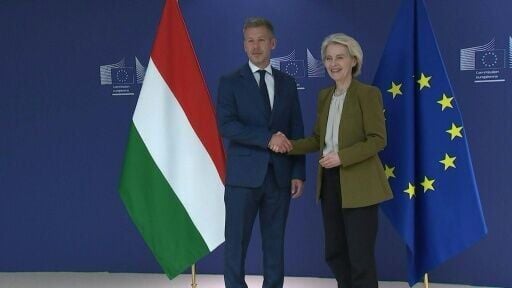 Incoming Hungarian leader Peter Magyar meets EU chief von der Leyen