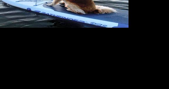 Pet Spot: Cruiser remembered as good friend