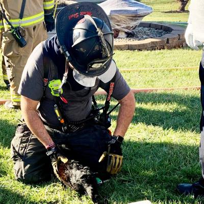High Ridge Fire Engineer Matt Sleet administers oxygen to a cat after it was rescued from a house fire in Cedar Hill.