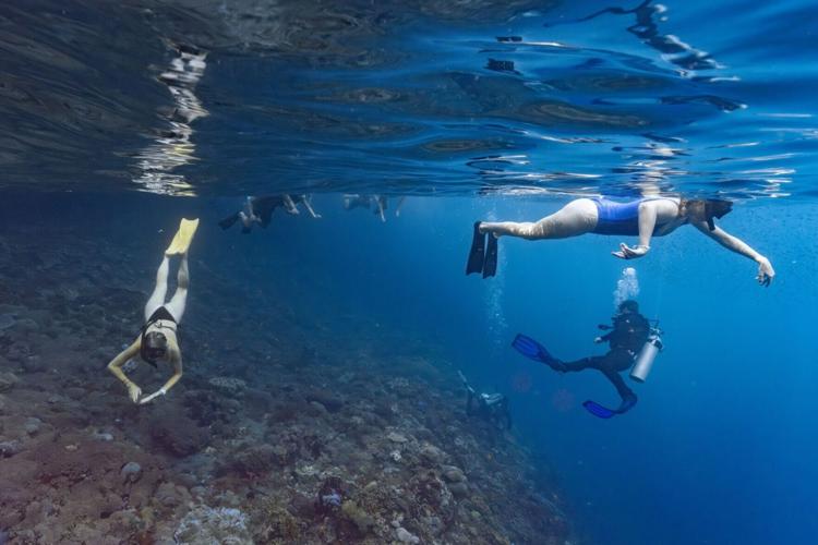 Scuba-diving tourists are destroying coral reefs they want to conserve