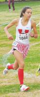 Stricklin heads pack of talented runners in county