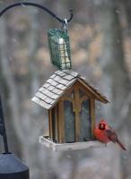 Bird feeders make great Christmas gifts that provide joy all year long