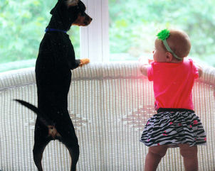 The Bells' dog, Bentley, was alive, after all