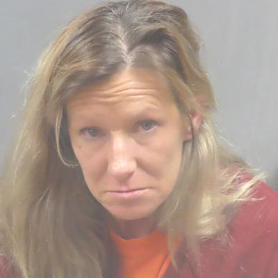 Fenton-area woman sentenced to 15 years in prison