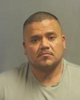 Barnhart man charged with two felonies for allegedly abusing dog