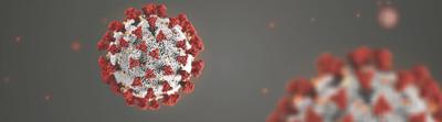 Coronavirus cell.jpg