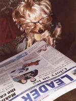Pet spot: Fancy likes to get dressed up